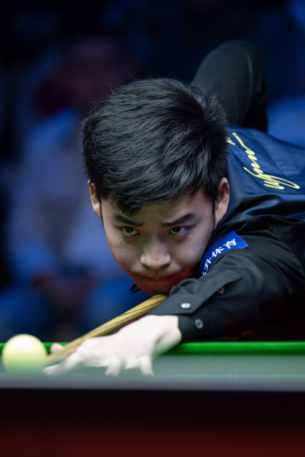 总是能够引 总是能够引