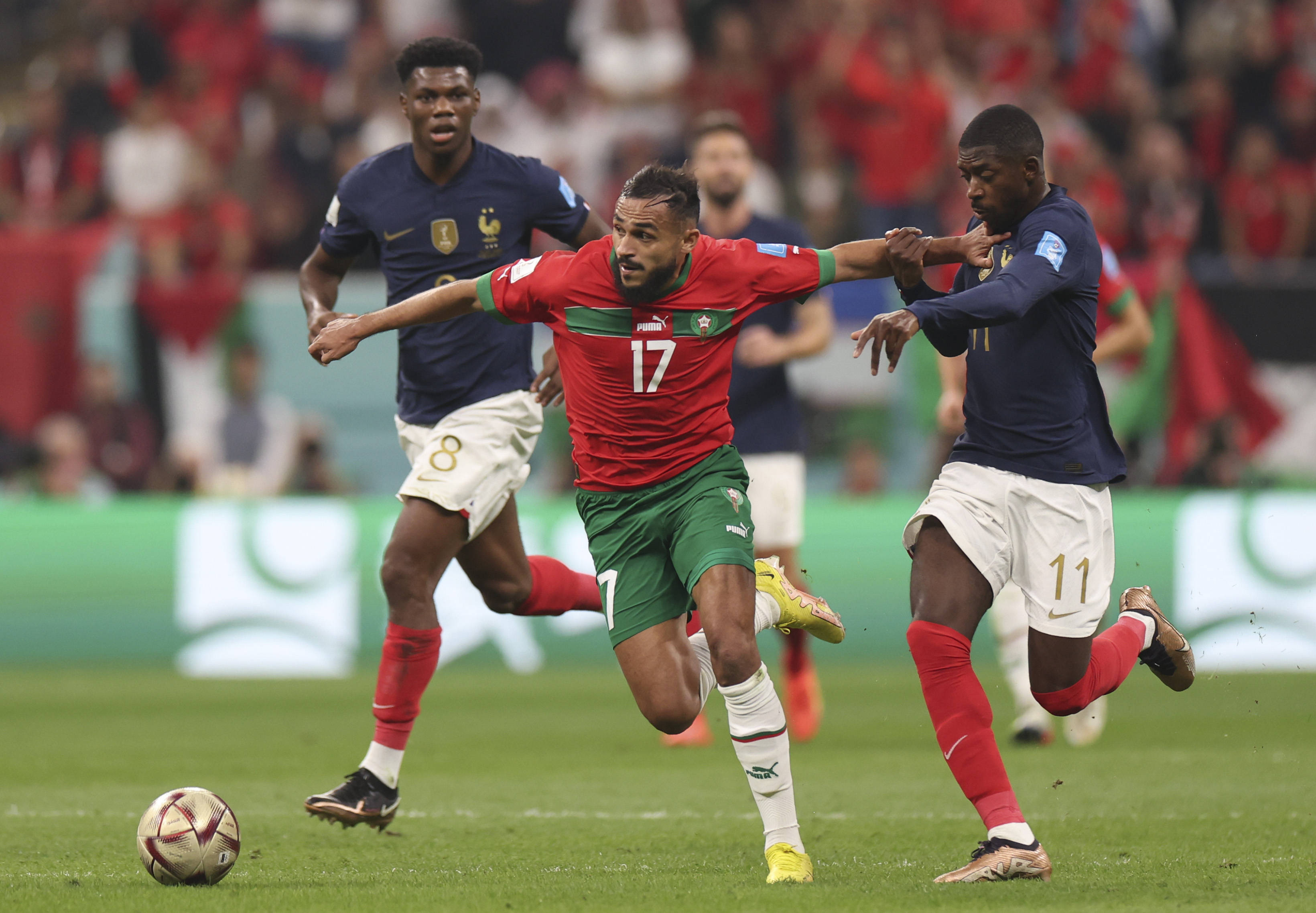 随着F1赛 随着F1赛