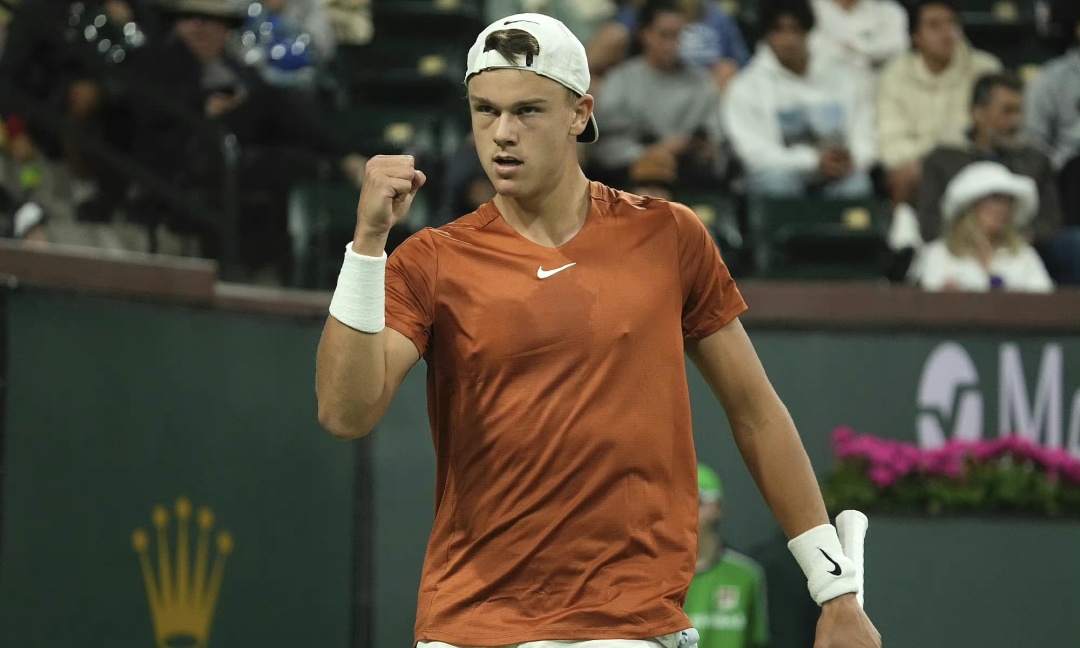 和球迷的热 和球迷的热