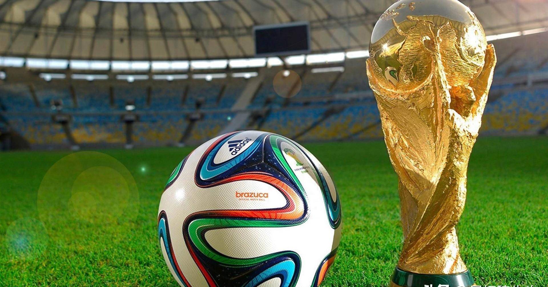 应对强手以 应对强手以