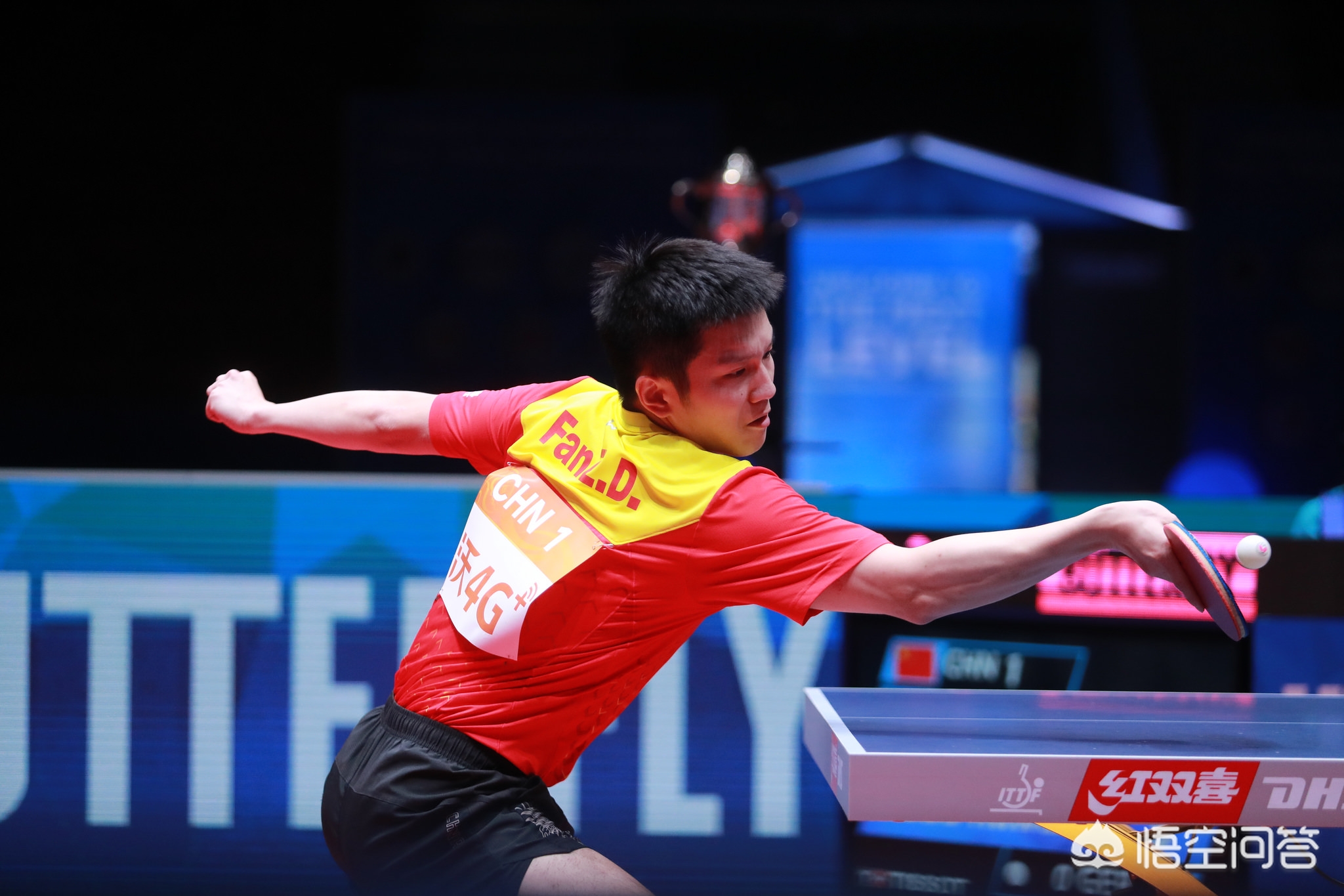 也是美国网 也是美国网