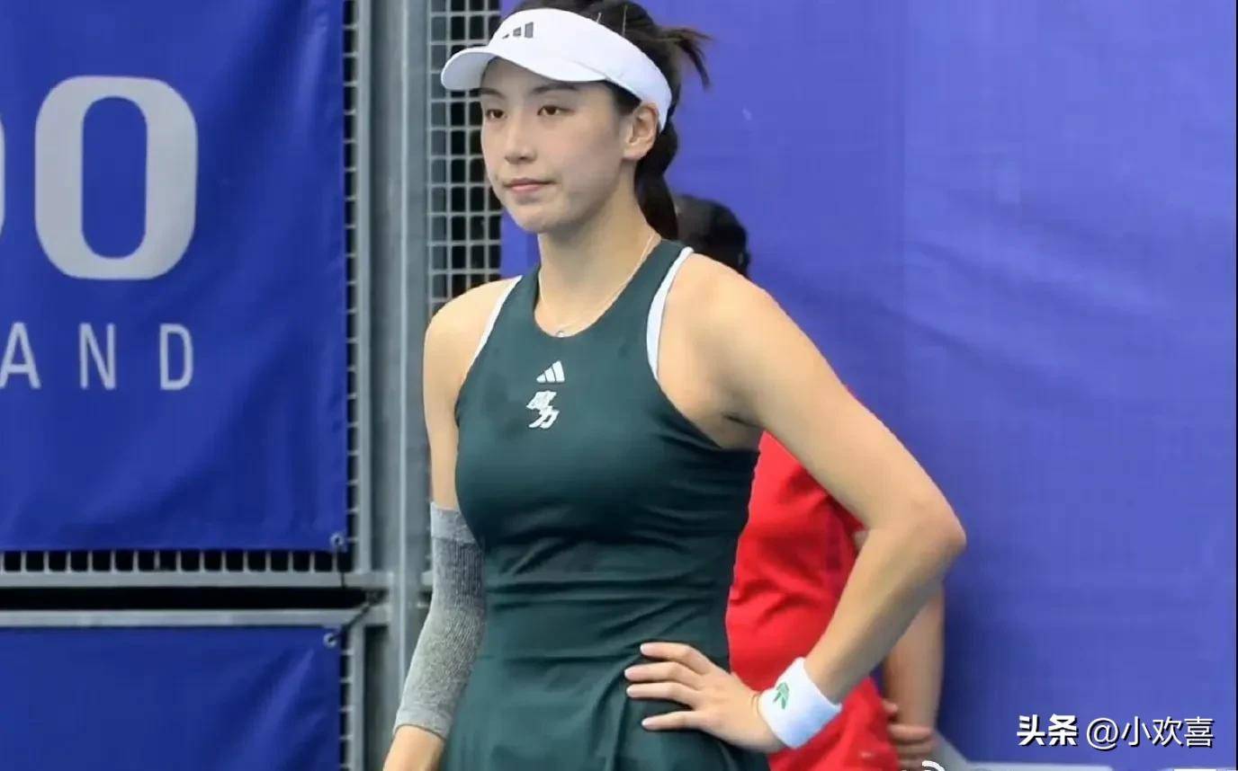 不同风格的 不同风格的